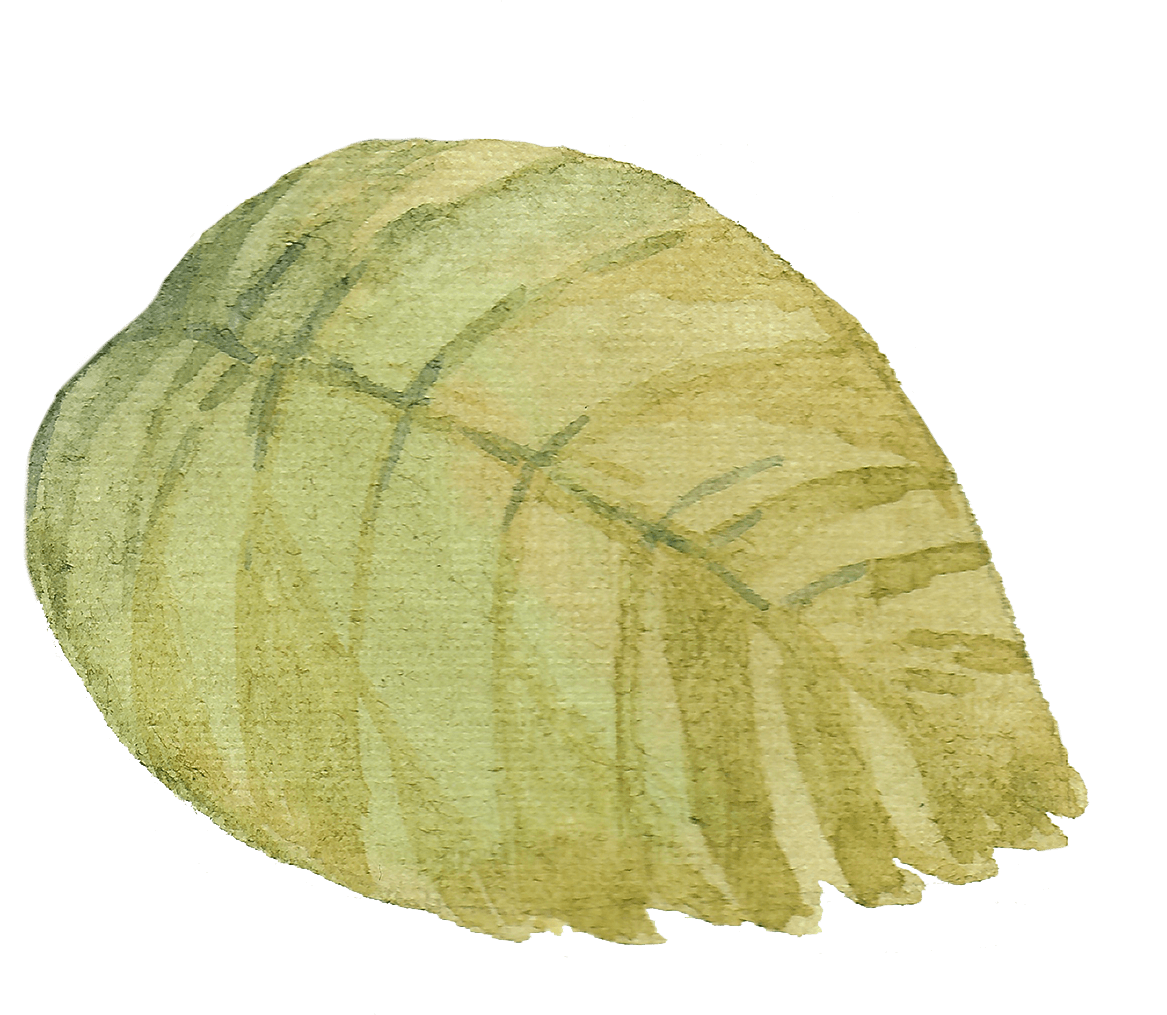 leaf-1_2 2